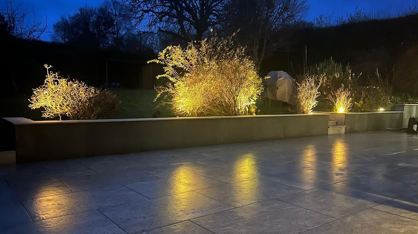 Landscape lighting to illuminate trees